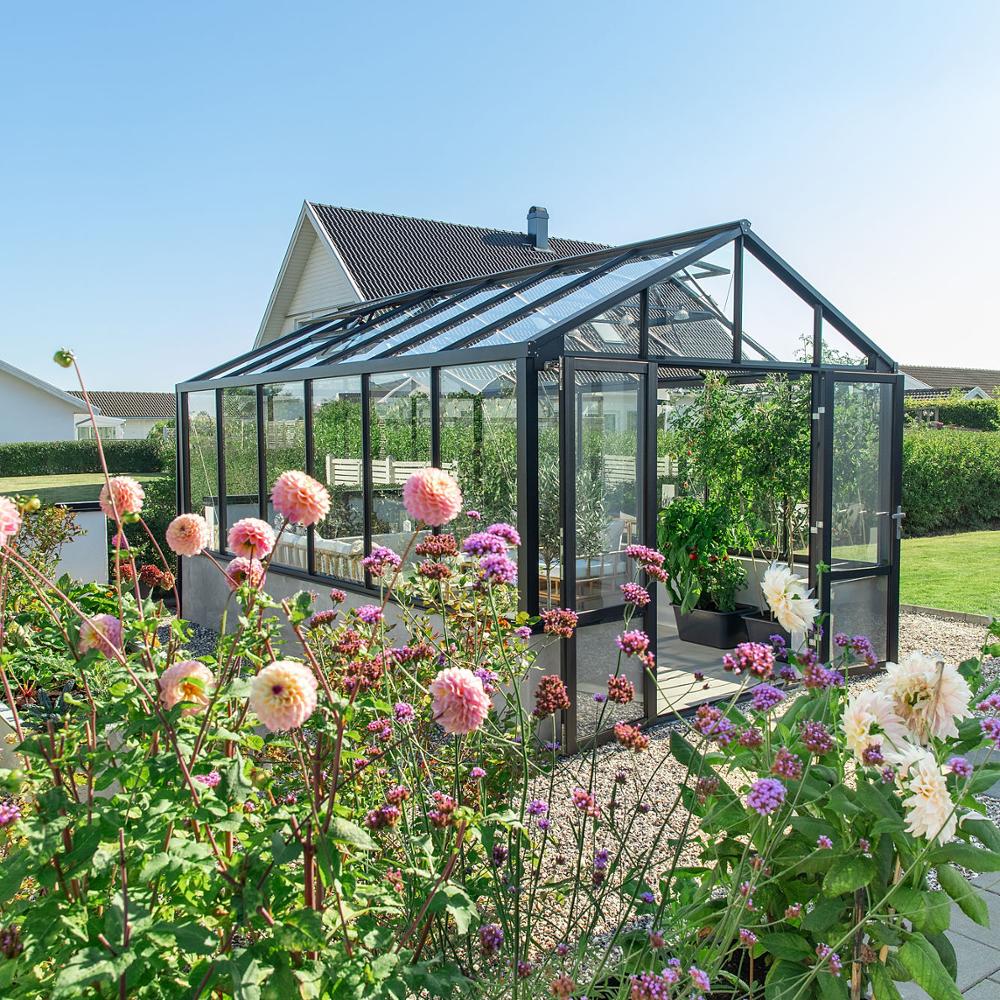 Växthus - Dahlia Wall