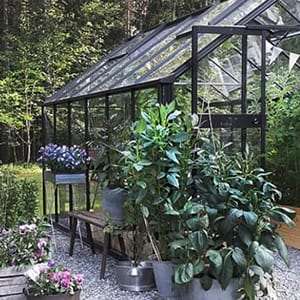 Växthuset ger liv till gården