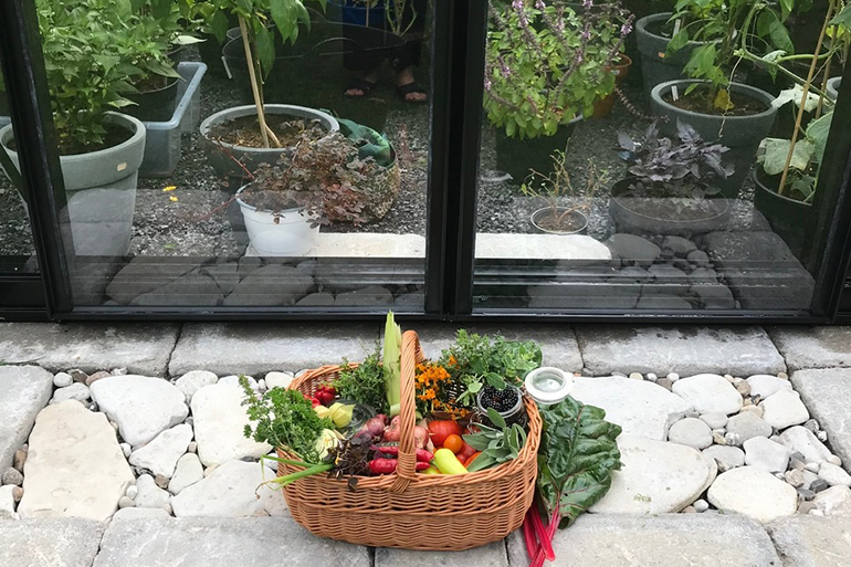 Odla i växthus året runt
