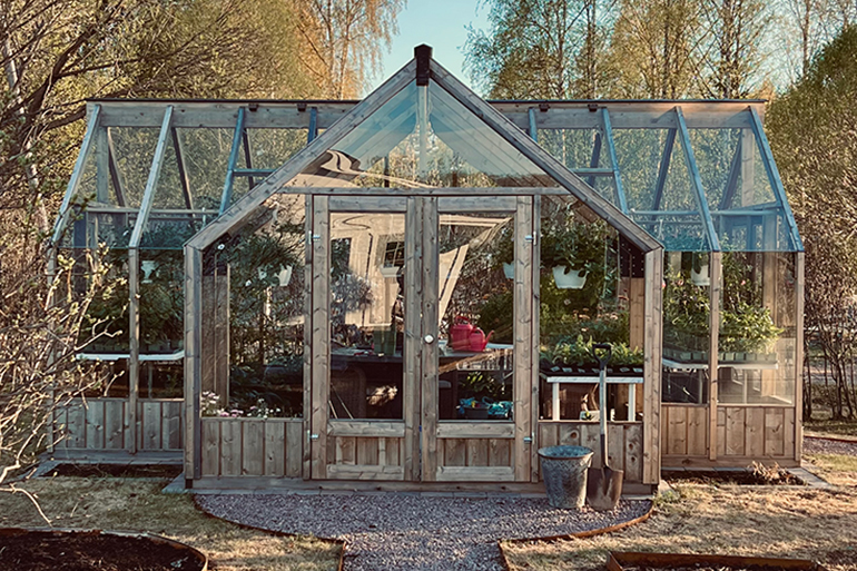 Plantor i växthus
