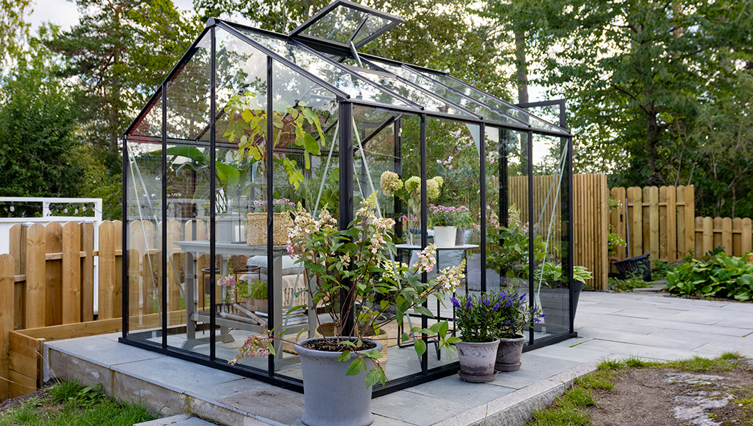 Svart växthus som heter Olivia