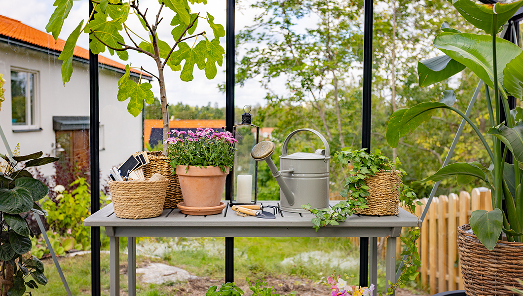 Blick inifrån växthuset och ut till trädgården.