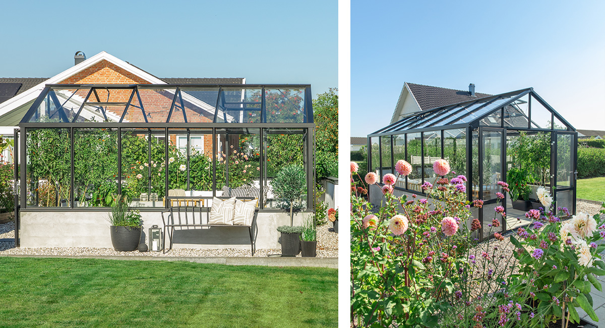 Drivhuset Dahlia fra Grønt Fokus