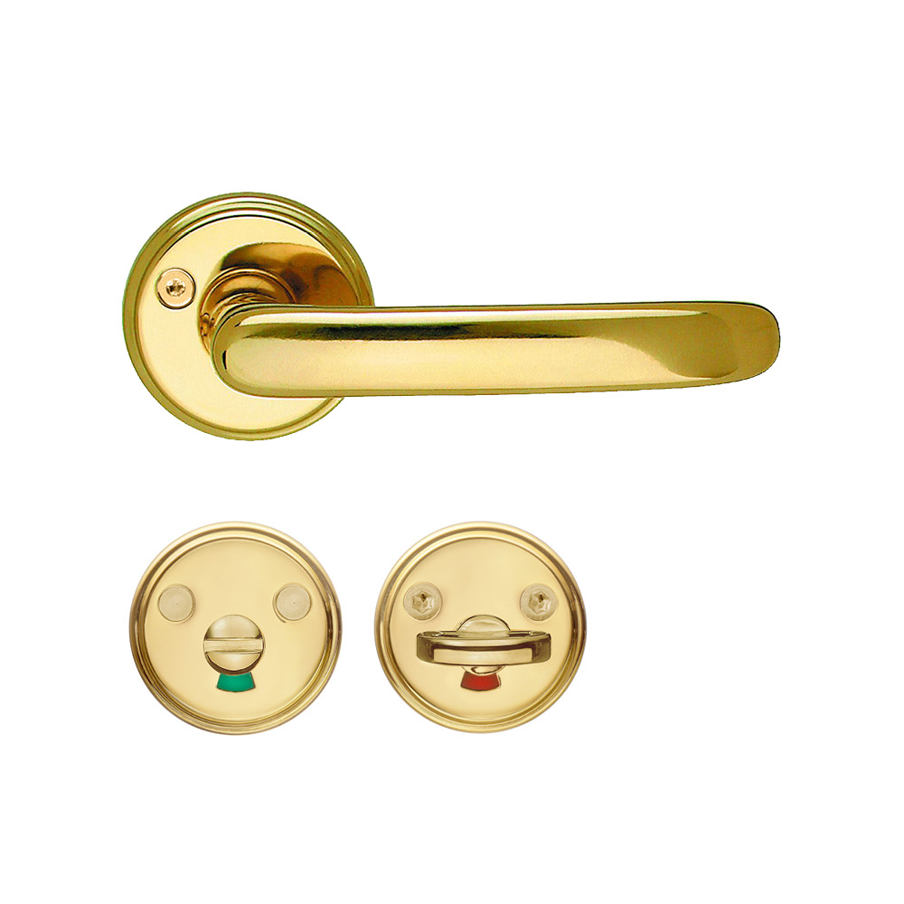 Handtag toalett Polerad mässingsfinish, PVD