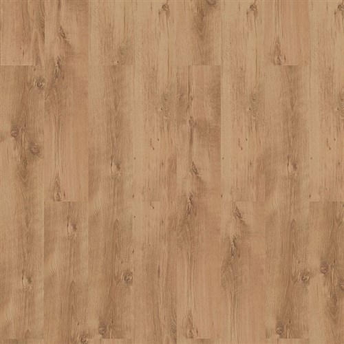 Sessile Oak Provbit Laminat