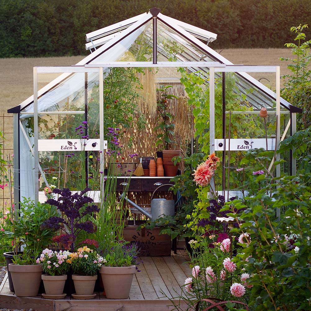 Skule 8,2 m² Aluminium Växthus