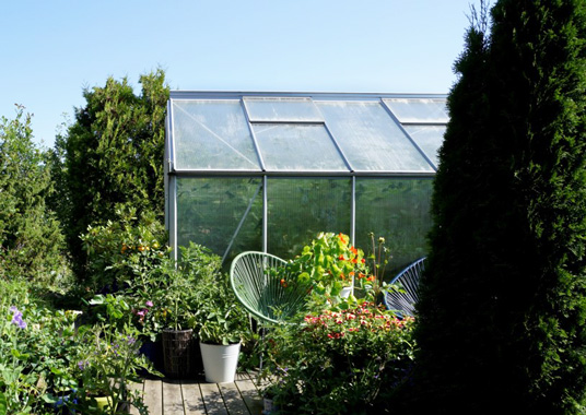 Växthus – en plats för växter och vänner