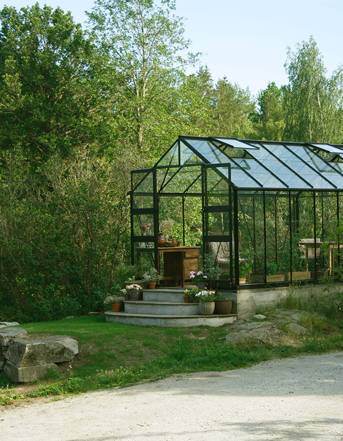 Sommarbild där odlingarna inne i växthuset syns.