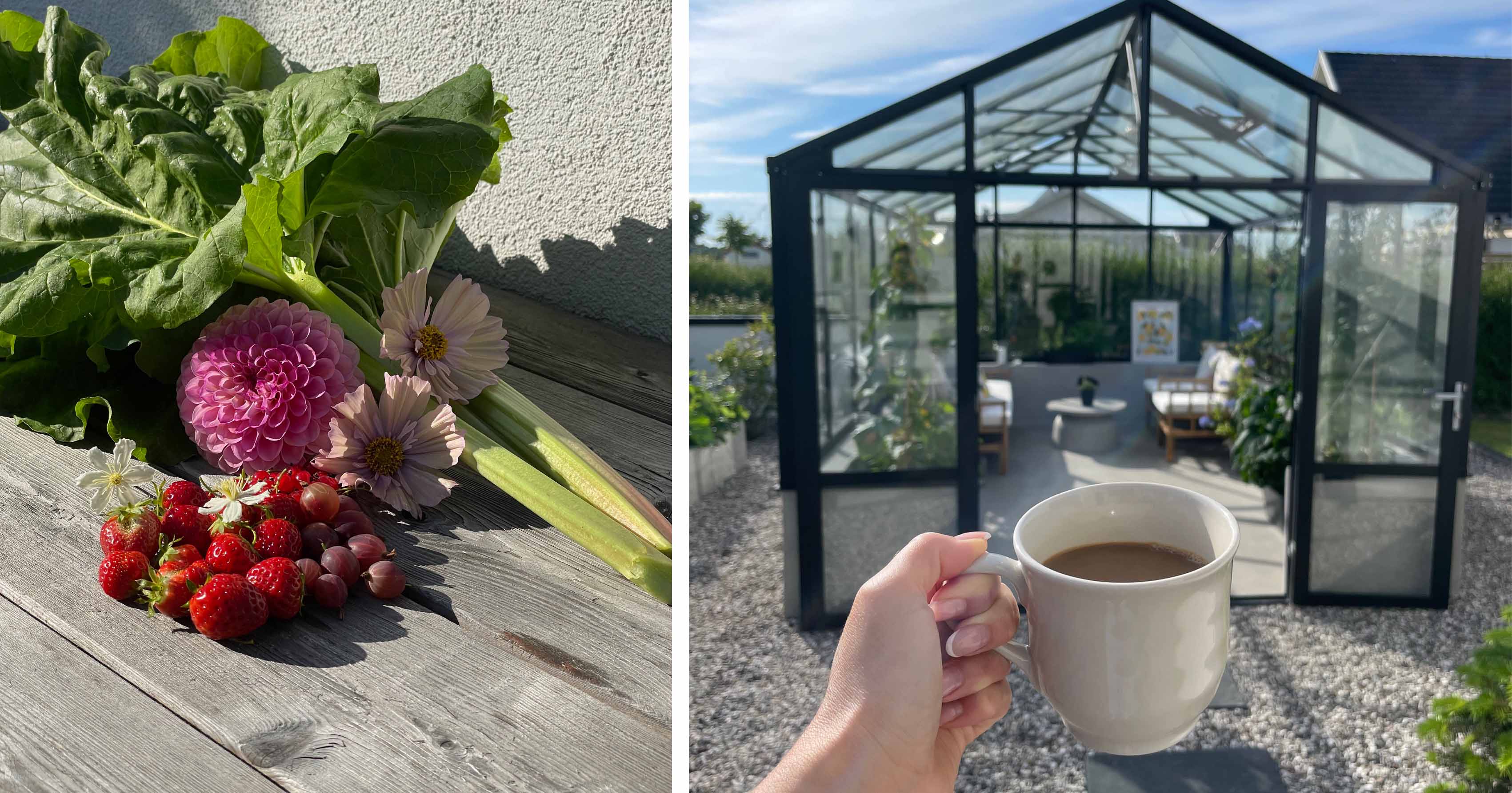 Sommar med växthus från Nordrum.
